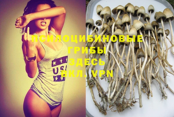 метадон Алексеевка