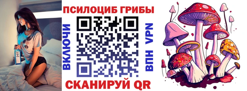 Псилоцибиновые грибы мицелий гидра как войти Петровск-Забайкальский купить цена
